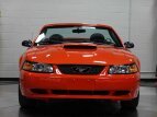 Thumbnail Photo 40 for 2004 Ford Mustang